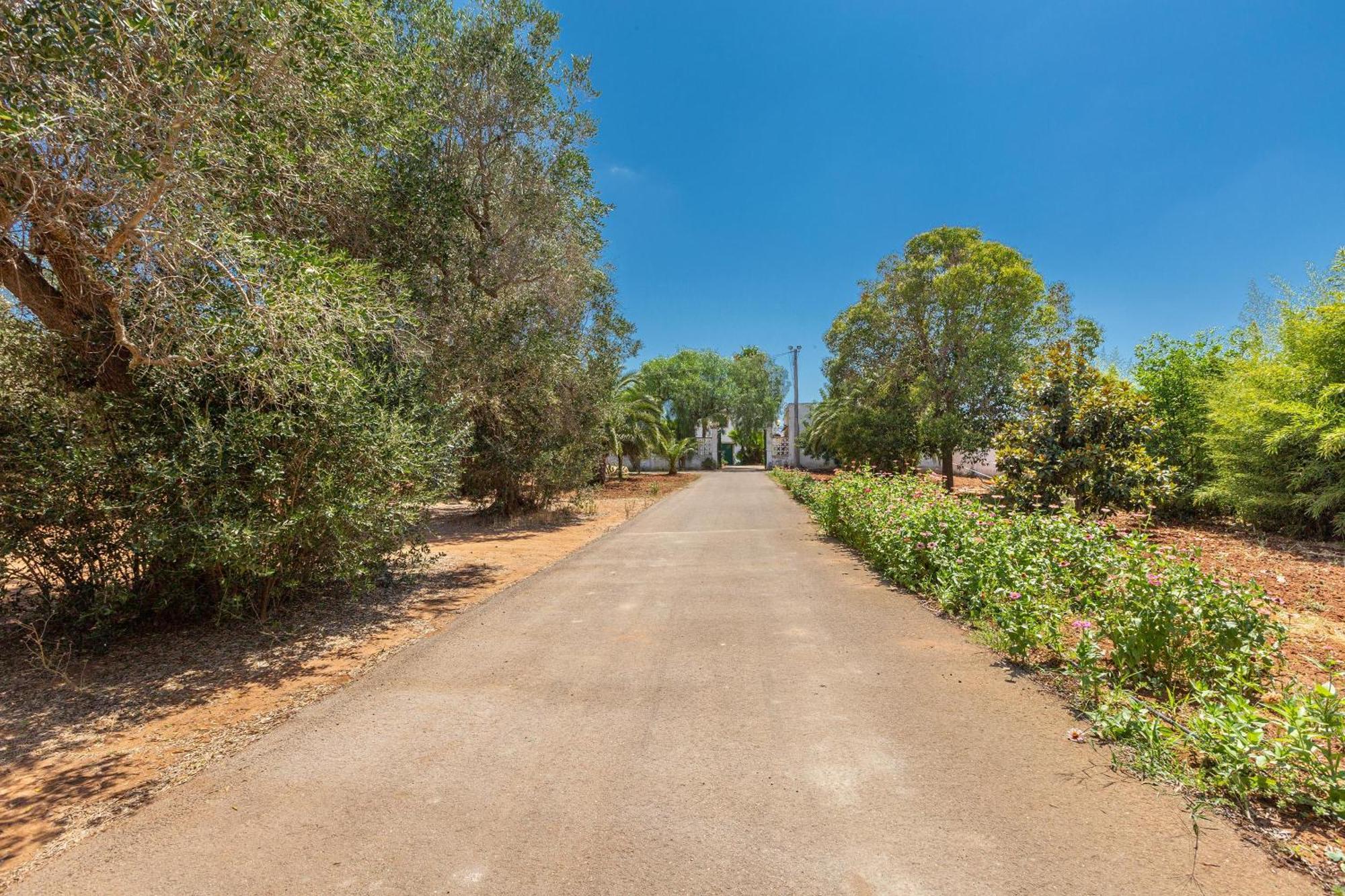 Masseria Sierri By Perle Di Puglia San Pancrazio Salentino Ngoại thất bức ảnh